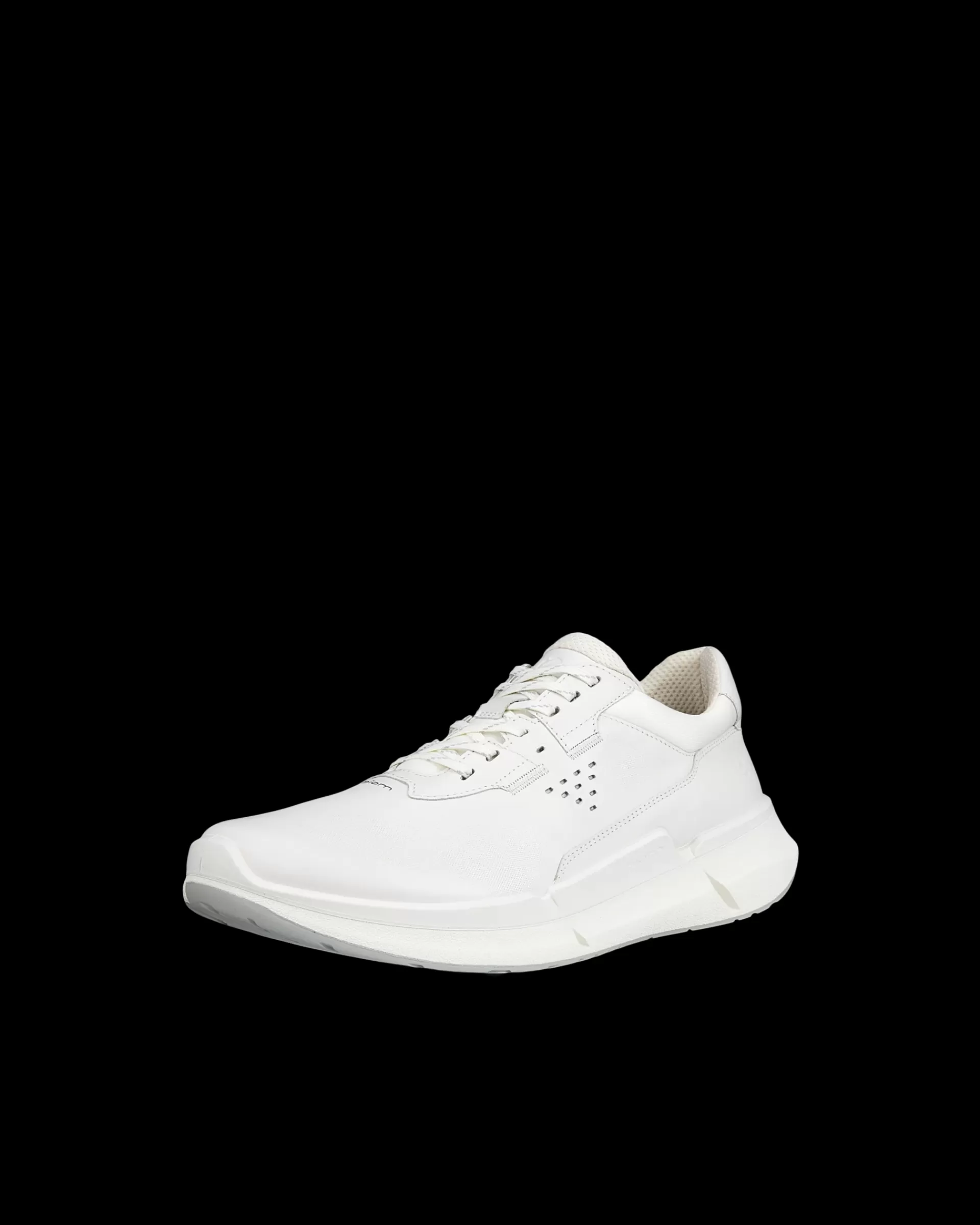 BIOM 2.2 M^ECCO Online